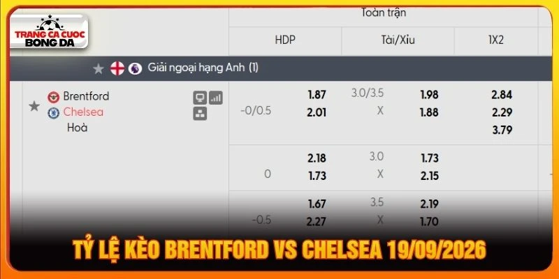Tỷ lệ kèo Brentford vs Chelsea 19/09/2026